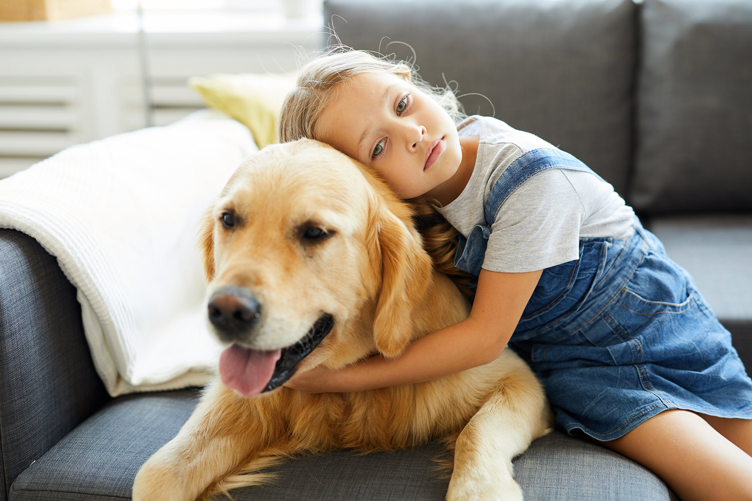 Autisme et médiation animale