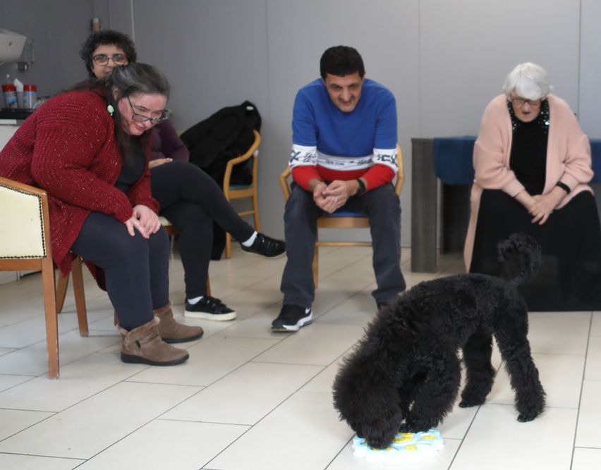 Pourquoi la médiation animale séduit de plus en plus les institutions ?